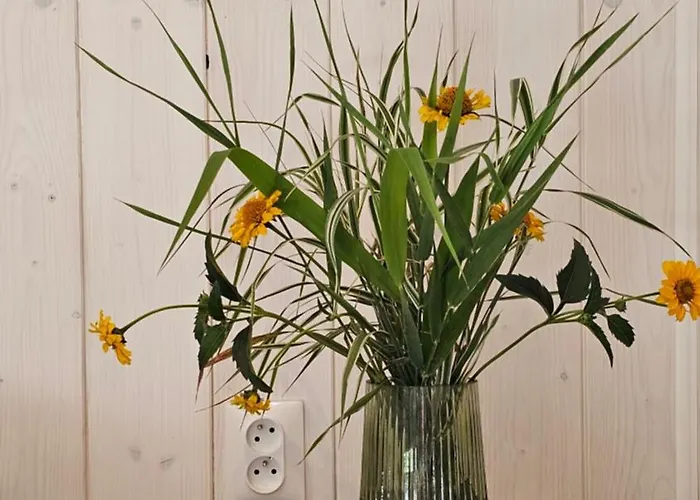 Modern House - 30 Metrow Od Jeziora,prywatna Plaza,wifi Дом отдыха